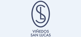 10_vinedo_sanlucas