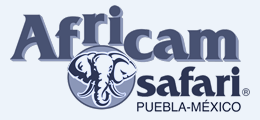 13_logo_africam